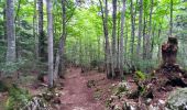 Randonnée Marche Les Déserts - La Feclaz -Croix du Nivollet - Photo 6