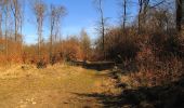 Tour Wandern Pierrefonds - en forêt de Compiègne_24_Tournantes sur le Voliard et sur la Fortelle_chaussée Brunehaut - Photo 19