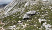 Trail On foot Cortina d'Ampezzo - IT-28 - Photo 2
