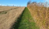 Tour Wandern Brugelette - Brugelette-chemin vers Lens - Cambron casteau - Photo 5