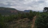 Trail Walking Roquebrune-sur-Argens - bouverie collet redon - Photo 2