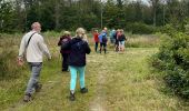 Trail Walking Marche-en-Famenne - Marche-en-Famenne - Photo 5