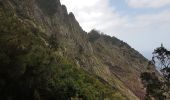 Trail Walking Machico - Madère : du tunnel de Caniçal à Porto da Cruz - aller en bus - Photo 13