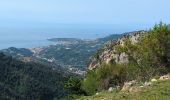 Trail Walking Castellar - Castellane - roc d'Ormea - Photo 8