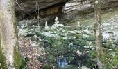 Trail  Saint-Julien-en-Vercors - Moulin marquis  - Photo 7