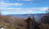 Trail Walking Le Bourget-du-Lac - Le Molard du mont du Chat - Photo 2