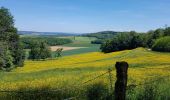 Tour Wandern Jussey - marche don du sang Jussey 15 5 2022 - Photo 1