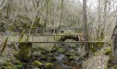 Randonnée Marche Ternant-les-Eaux - Ternant-les-eaux - Dauzat sur vodable - Photo 3