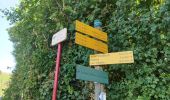 Trail Nordic walking Jarrie - Mon chabou -haut jarret  - Photo 1