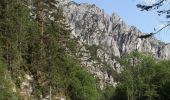 Tour Zu Fuß Admont - Der wilde John - Sagenweg - Photo 7