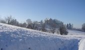 Tocht Te voet Stettfurt - Schloss Sonnenberg - Lommis - Thürn - Photo 5