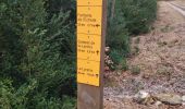 Trail Walking Saint-Laurent-en-Royans - 26 rocher des mines ARP - Photo 5