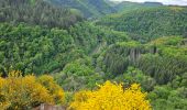 Tour Wandern Goesdorf - Goebelsmühle  - Photo 13