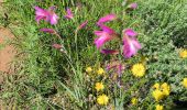 Trail Walking La Motte - le mitan  Fonfcirylle - Photo 3