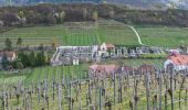 Excursión A pie Gemeinde Spitz - Rotes Tor Rundwanderung - Photo 1