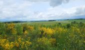 Tocht Stappen Houffalize - Engreux 080625 - Photo 5
