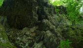 Trail On foot Houyet - GrWandArdRiv27: Gendron: een prachtig stuk Beneden-Lesse (PVDB) - Photo 6