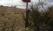 Trail Walking Peyrelevade - Fred puy d auroc - Photo 3