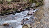 Trail Walking Theux - Promenade vers la cascade de Haldeboeuf  - Photo 1