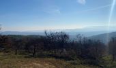 Tour Wandern Balazuc - Les crêtes du grand travers Balazuc - Photo 4