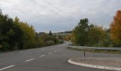 Tour Zu Fuß Waldeck - Rundwanderweg Netze 1 - Photo 2