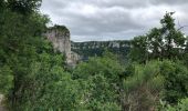 Tour Wandern Saint-Jean-et-Saint-Paul - St jean alcas cornus  - Photo 2