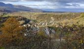 Tour Wandern Pont-en-Royans - reco pont en Royans st André  - Photo 4