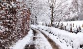 Randonnée Marche Stoumont - Promenade de la Vecquée à Stoumont   - Photo 9