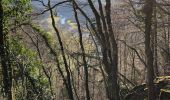 Tocht Stappen Seraing - De Boncelles à Roche aux faucons  - Photo 6