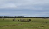 Tour Wandern Libramont-Chevigny - rando laneuville(libramont)18/02/2021 - Photo 16