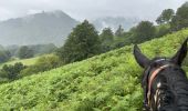 Trail Horseback riding Urepel - Xxx - Elizondo - Photo 6