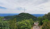 Trail Walking Les Aires - la coquillage et saint michel - Photo 4