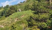 Tocht Stappen Uvernet-Fours - rando col de la cloche 8/07/2021 - Photo 10