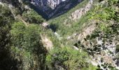 Tour Wandern La Palud-sur-Verdon - Chemin Martel  - Photo 10