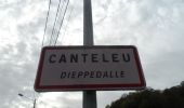 Tour Wandern Canteleu - 20221029-Canteleu - Photo 17