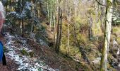 Trail Walking Soultz-Haut-Rhin - Wuenheim -  Kohlschlag  (18/03/2021) - Photo 1
