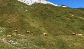 Tour Wandern Beaufort - La gitane 29-08-2021 - Photo 12