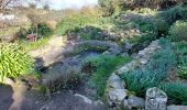 Trail Walking Saint-Pierre-Quiberon - PR_56_St-Pierre-Quiberon_BA_02_Entre-Baie-Et-Ocean_Circuit4a_20240303 - Photo 4
