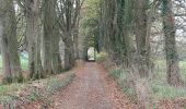 Trail Walking Mettet - Mettet 141122 - Photo 4