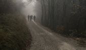 Trail Walking Saint-Benoit-en-Diois - montagne de Faraud - Photo 1