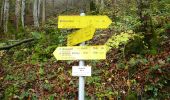 Excursión A pie Kiefersfelden - Weg Nr. 5 - Höhenrundweg um den Scharzenberg - Oberaudorf/Hocheck - Photo 7