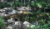 Tour Wandern La Môle -  la mole lac de verne - Photo 9