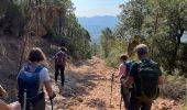 Excursión Senderismo Bagnols-en-Forêt - Crête Diaou et gorges du Blavet - Photo 7