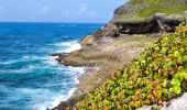 Tour Wandern Capesterre-de-Marie-Galante - Guadeloupe - Marie Galante - Les Galeries - Photo 3