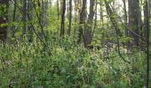 Tour Zu Fuß Unbekannt - Berlin. Wald. Klima. - Photo 6