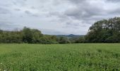 Trail Walking Beauraing - Dion  - Photo 3