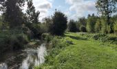 Trail Walking Champigny-sur-Veude - Champigny-sur-Veude - Richelieu Chaveignes - 23.2km 180m 5h15 (50mn) - 2024 09 10 - Photo 2