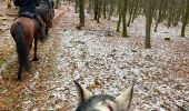 Trail Horseback riding Bastogne - Tripoux décembre 2022 - Photo 4