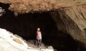 Tocht Stappen Pont-en-Royans - Grotte Balme Rousse - Photo 7