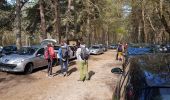 Tour Wandern Noisy-sur-École - Sentier des 25 bosses (1ère moitié) - Photo 1